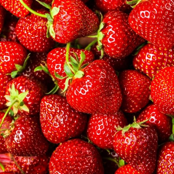🍓 GAEC de la Croix Rousse — 26210 Lapeyrouse-Mornay