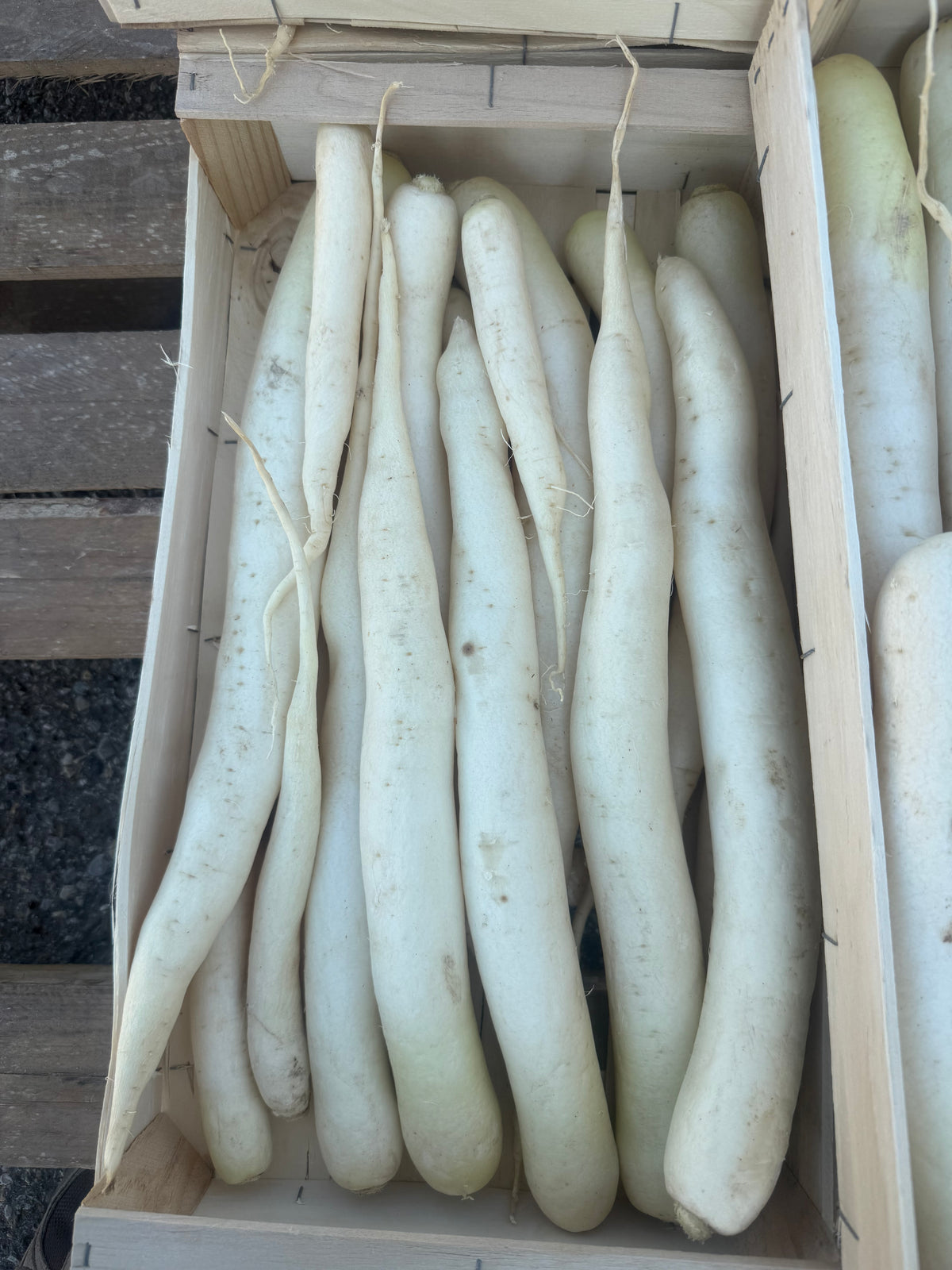 Navet Long 1kg