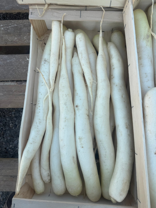 Navet Long 1kg