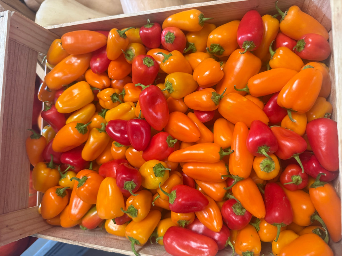 Le poivron de piquillo   ( barquette 350g)