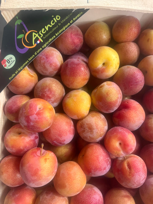 Barquette de Prune (1kg)