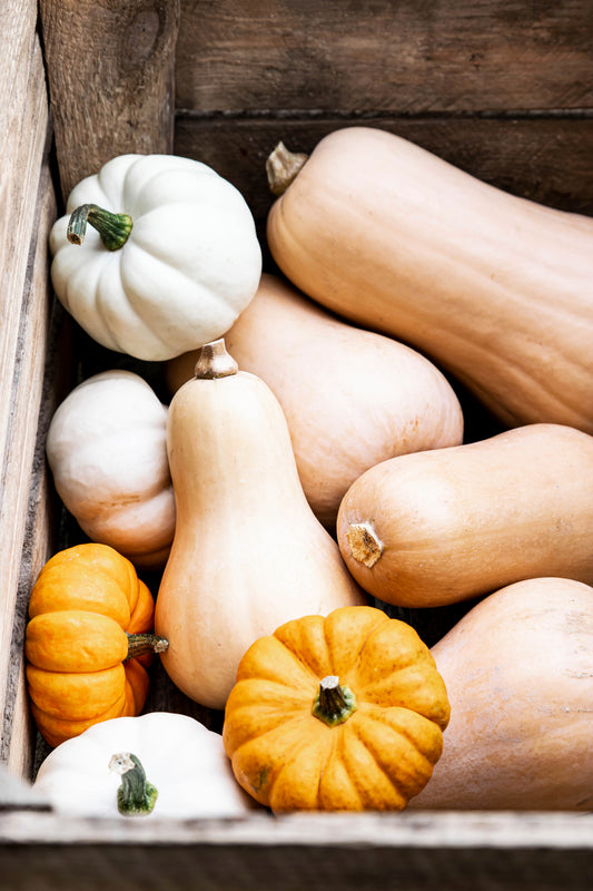 Butternut (Pièce)