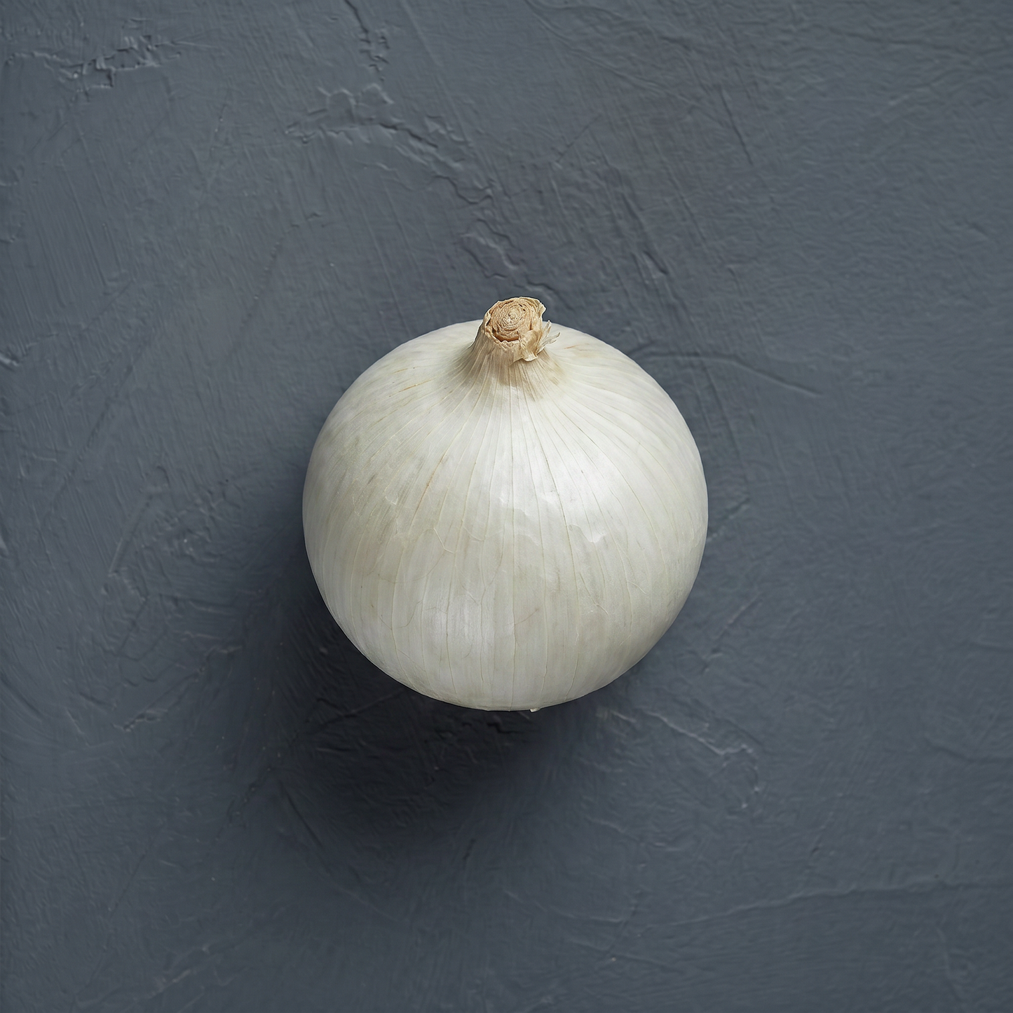 Oignons Blanc